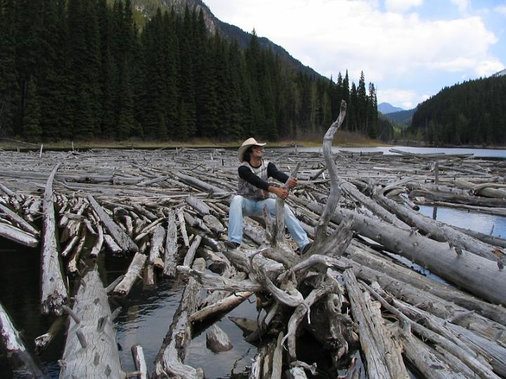 Rocky Mountains (125).JPG